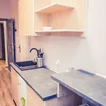 21 Basic Apartman *